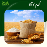 Gandum Atta 10-kg Chemical-Free & Freshly Milled